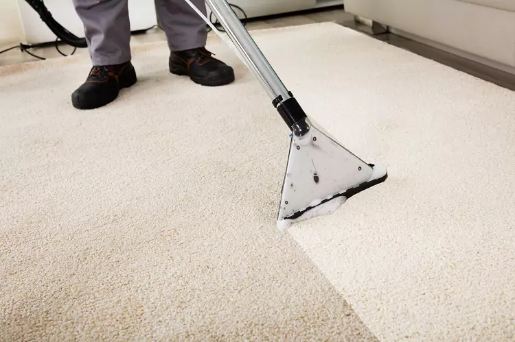 7 Tips for Choosing Professional Carpet Cleaning Services