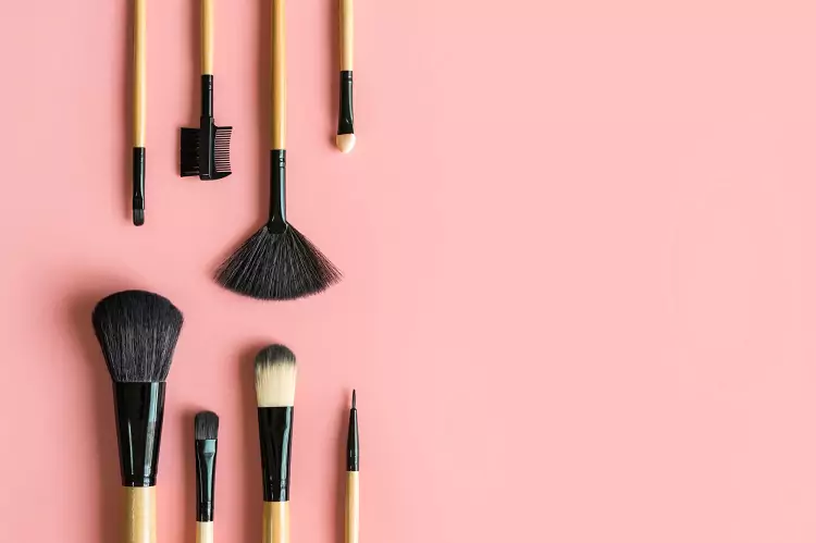 The Complete Guide to Choosing Makeup Brushes for New Users