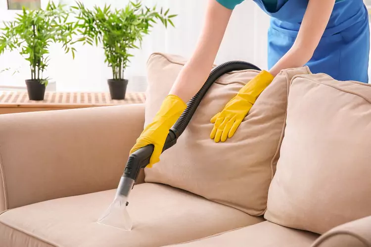 how to clean your couch