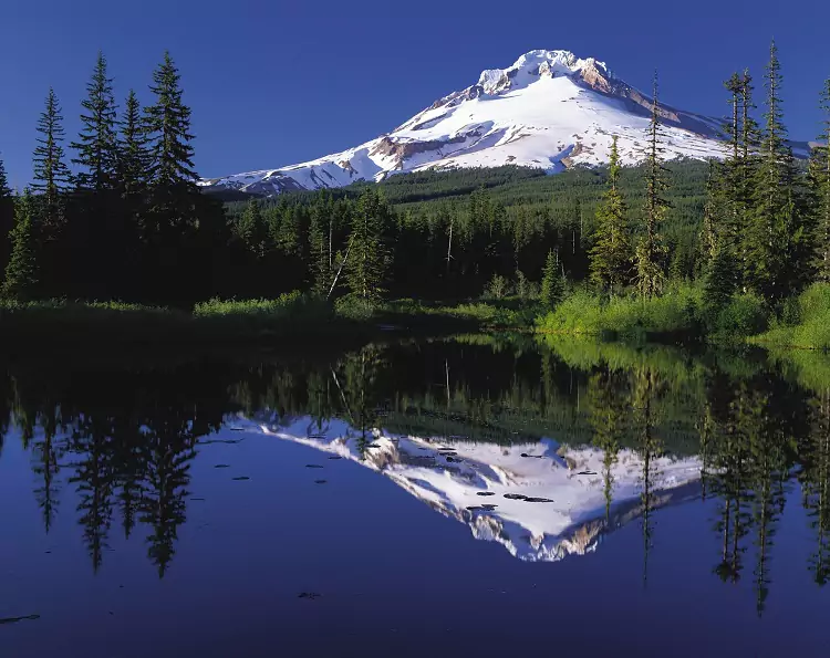 A Guide to Planning a Trip to Oregon