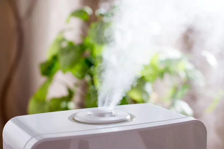 Best Air Purifier for Bird Owners: A Must-Have for a Healthy Home